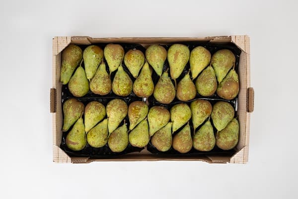 Emballage de poire Granfer