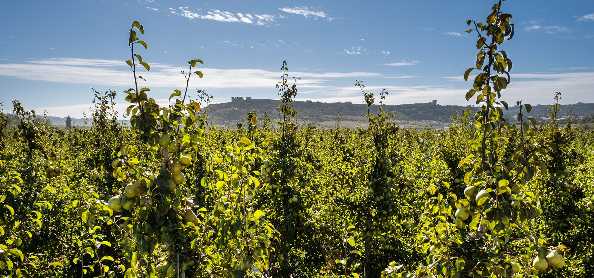 Nachhaltigkeit in Aktion