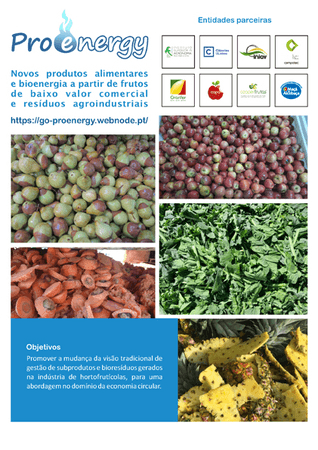 ProEnergy