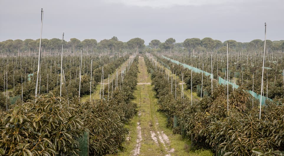 VISITA À WESTFALIA - ALCÁCER DO SAL